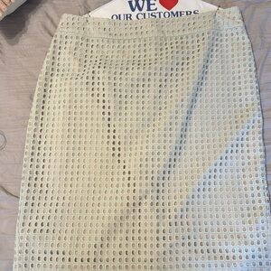 Sage green and tan Ann Taylor skirt